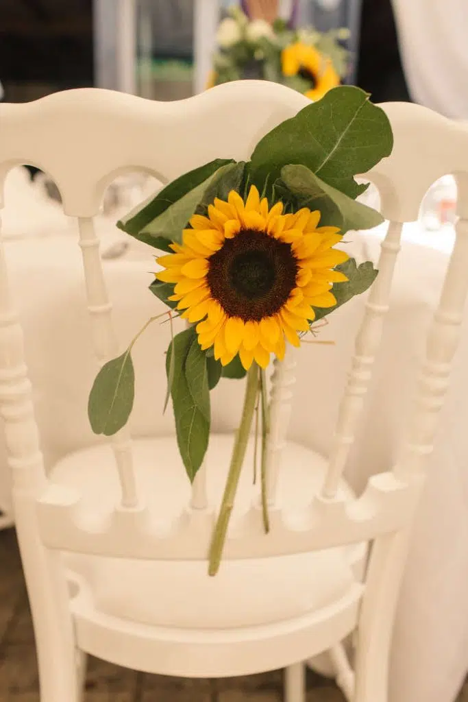 Unique Ceremonies - Chair &amp; Sunflower - Gael Sacre