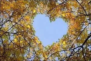 mariage laique touraine - coeur feuilles automne