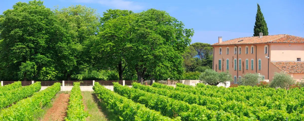 Officiante de cérémonie laïque pour la Région Provence